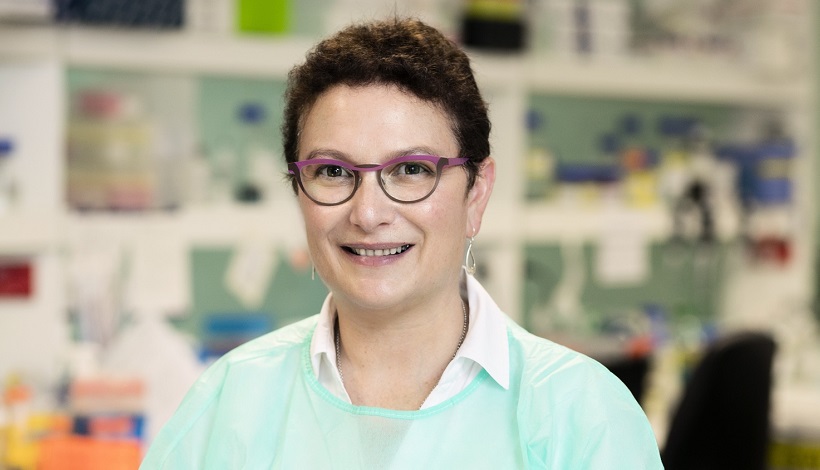 Professor Maria Kavallaris from the Children's Cancer Institute is researching stathmin regulation of microRNA expression in neuroblastoma cells.