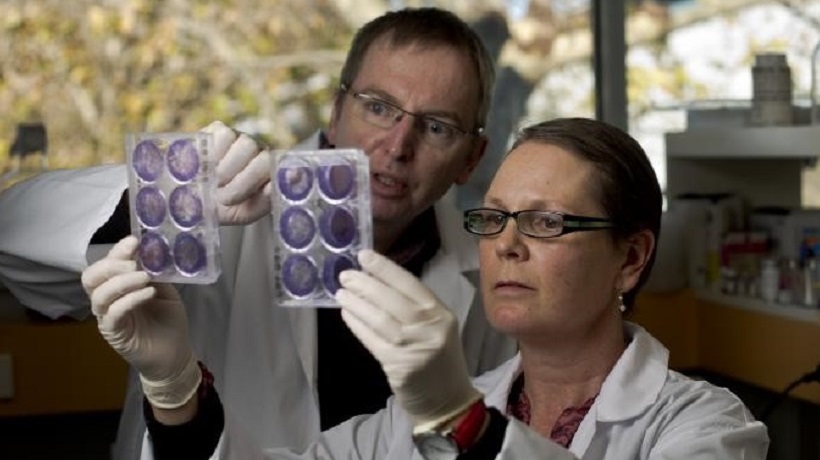 Dr Geoff McCowage and Dr Belinda Kramer examine samples in the lab.