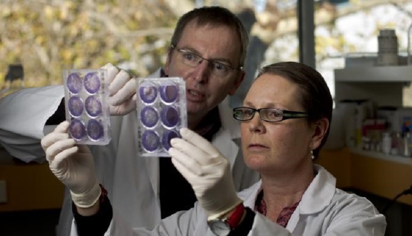 Dr Belinda Kramer and Dr Geoff McCowage from The Children's Hospital at Westmead are researching the development of CAR T-cell immunotherapies for children.