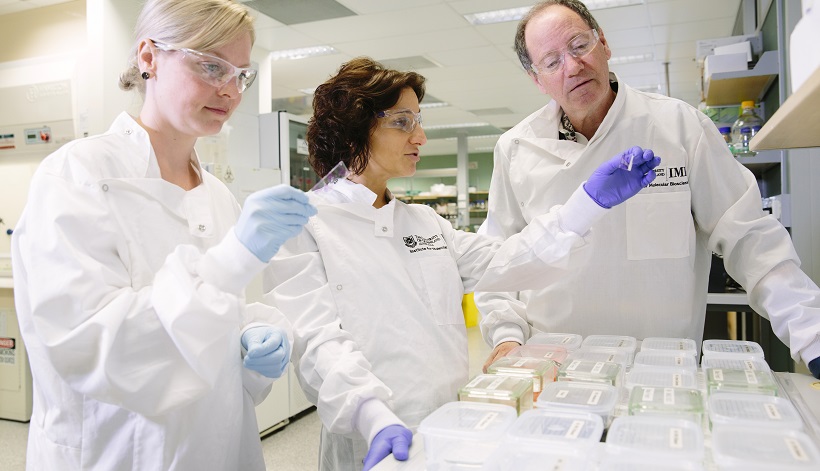 Professor Brandon Wainwright from The Institute for Molecular Bioscience is researching therapies for incurable paediatric brain tumours.