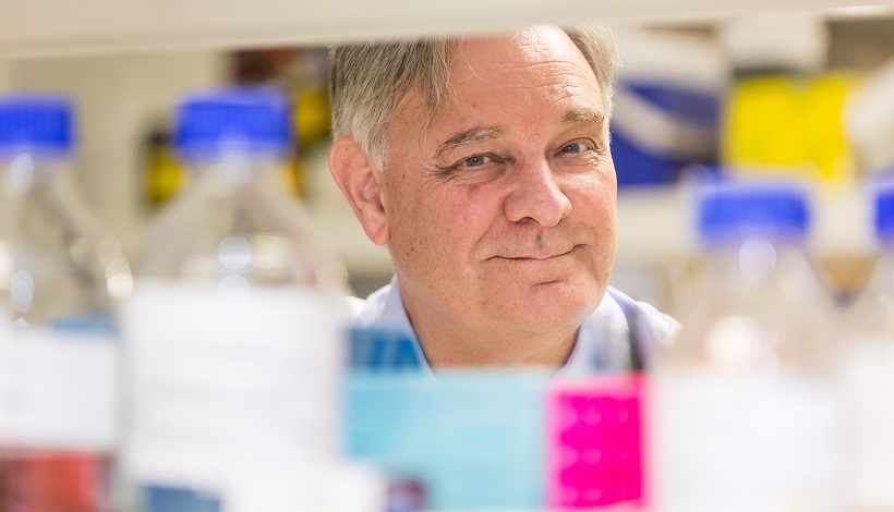 Professor Peter Gunning from UNSW Australia is researching the use of anti-tropomyosins in cancer treatment.