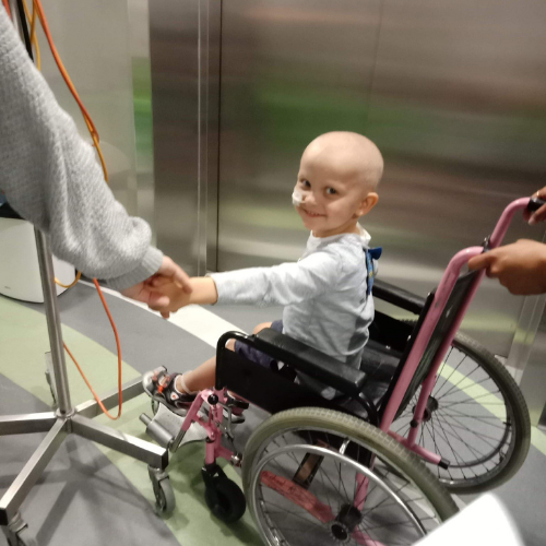Ollie in a wheelchair at the hospital