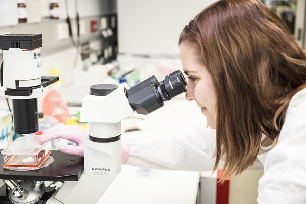 Dr. Upton looks through a microscope in her lab.