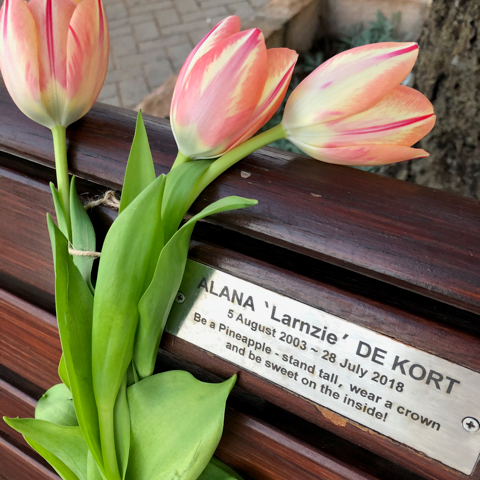 Larnzie memorial bench